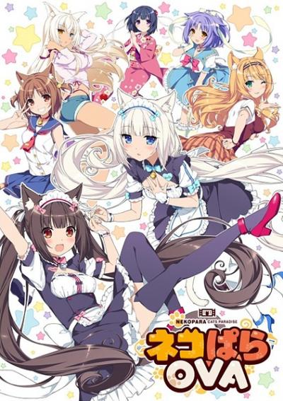 Nekopara ตอนที่ OVA+EX ซับไทย