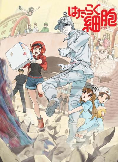 Hataraku Saibou เซลล์ขยัน พันธุ์เดือด ตอนที่ 1-14+OVA ซับไทย