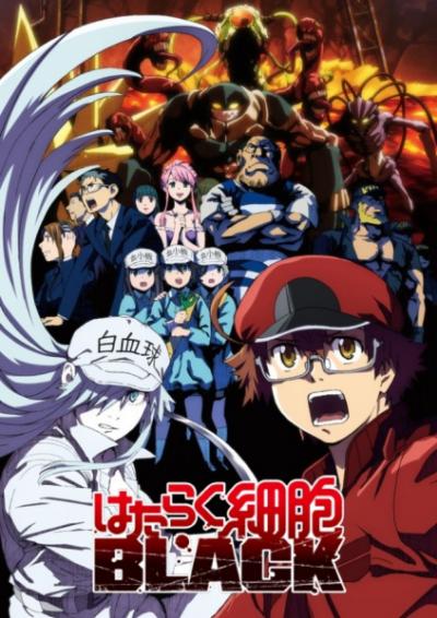 Hataraku Saibou Black เซลล์ขยัน พันธุ์เดือด แบล็ค ตอนที่ 1-13 ซับไทย