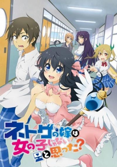 Netoge no Yome wa Onnanoko ja Nai to Omotta? ตอนที่ 1-12 ซับไทย