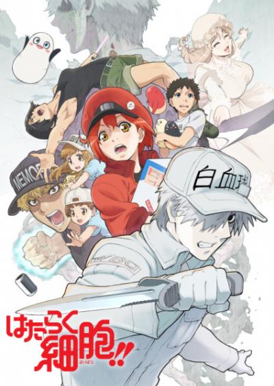 Hataraku Saibou!! เซลล์ขยัน พันธุ์เดือด ภาค2 ตอนที่ 1-8 ซับไทย